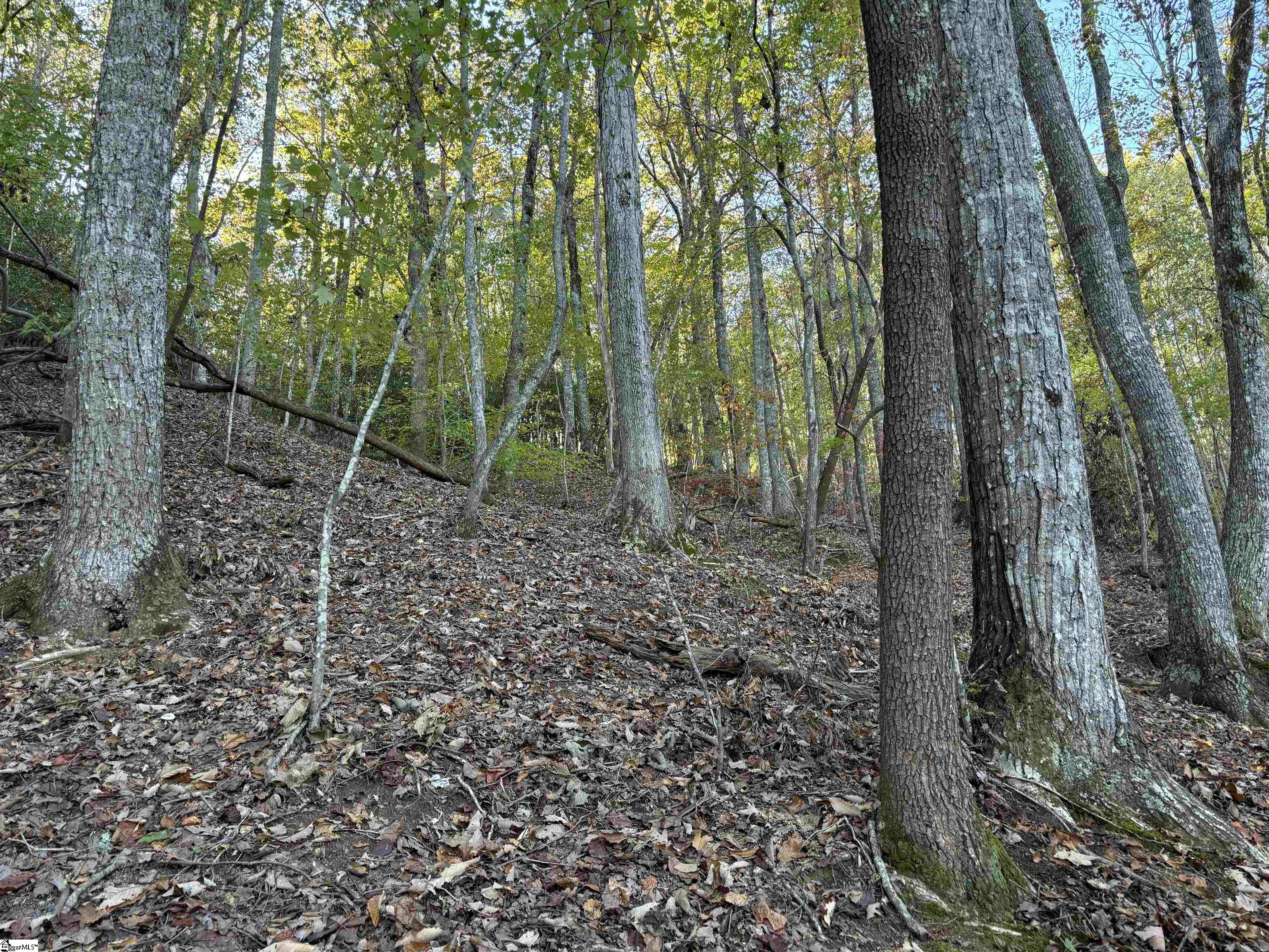 Shady Grove Road Sunset, SC 29685 - Photo 22 of 29