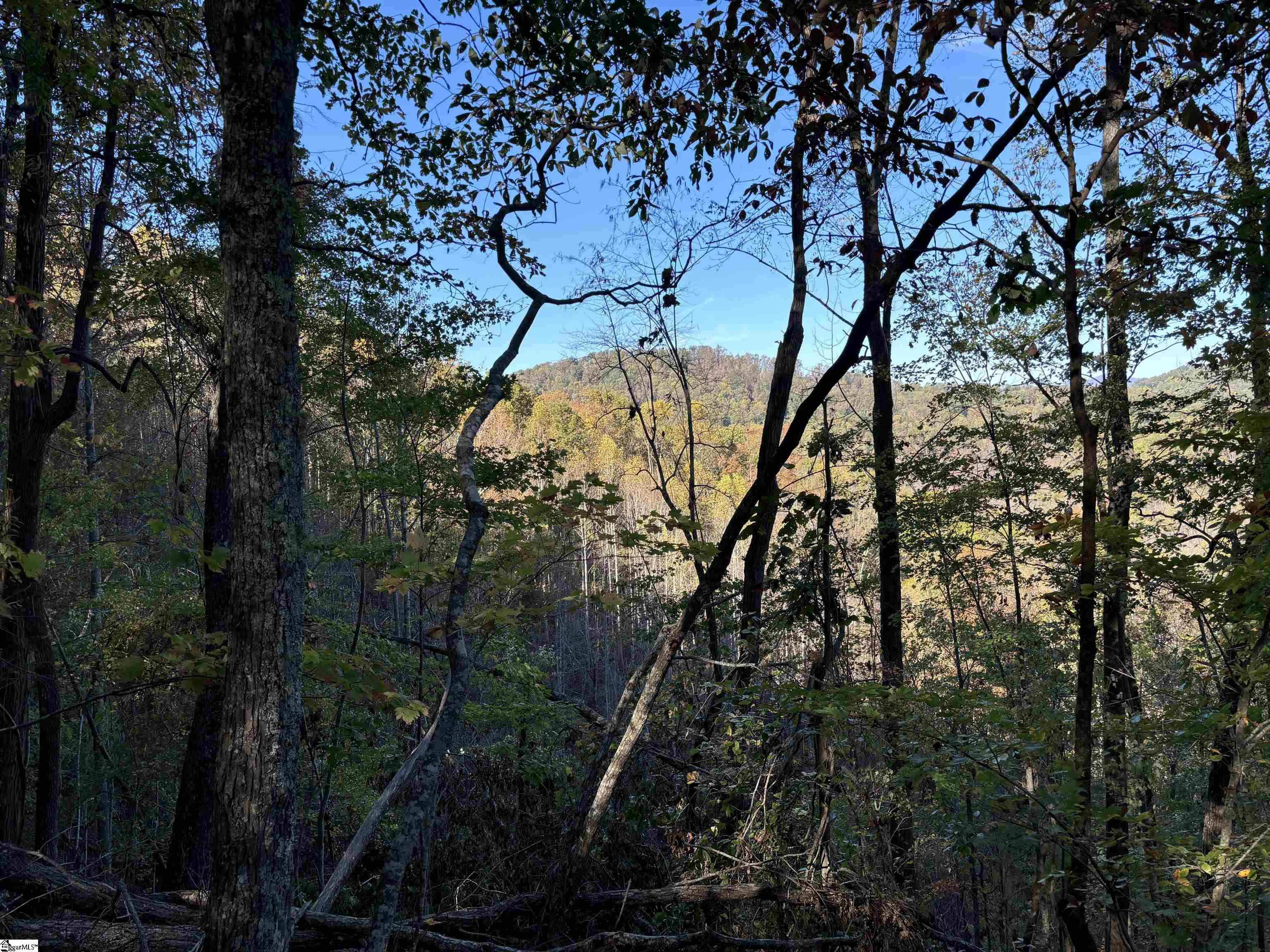 Shady Grove Road Sunset, SC 29685 - Photo 23 of 29