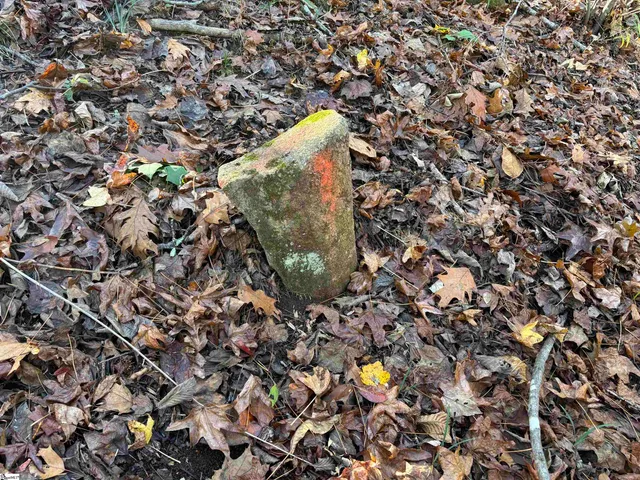 $795,000 | Shady Grove Road, Sunset, SC 29685