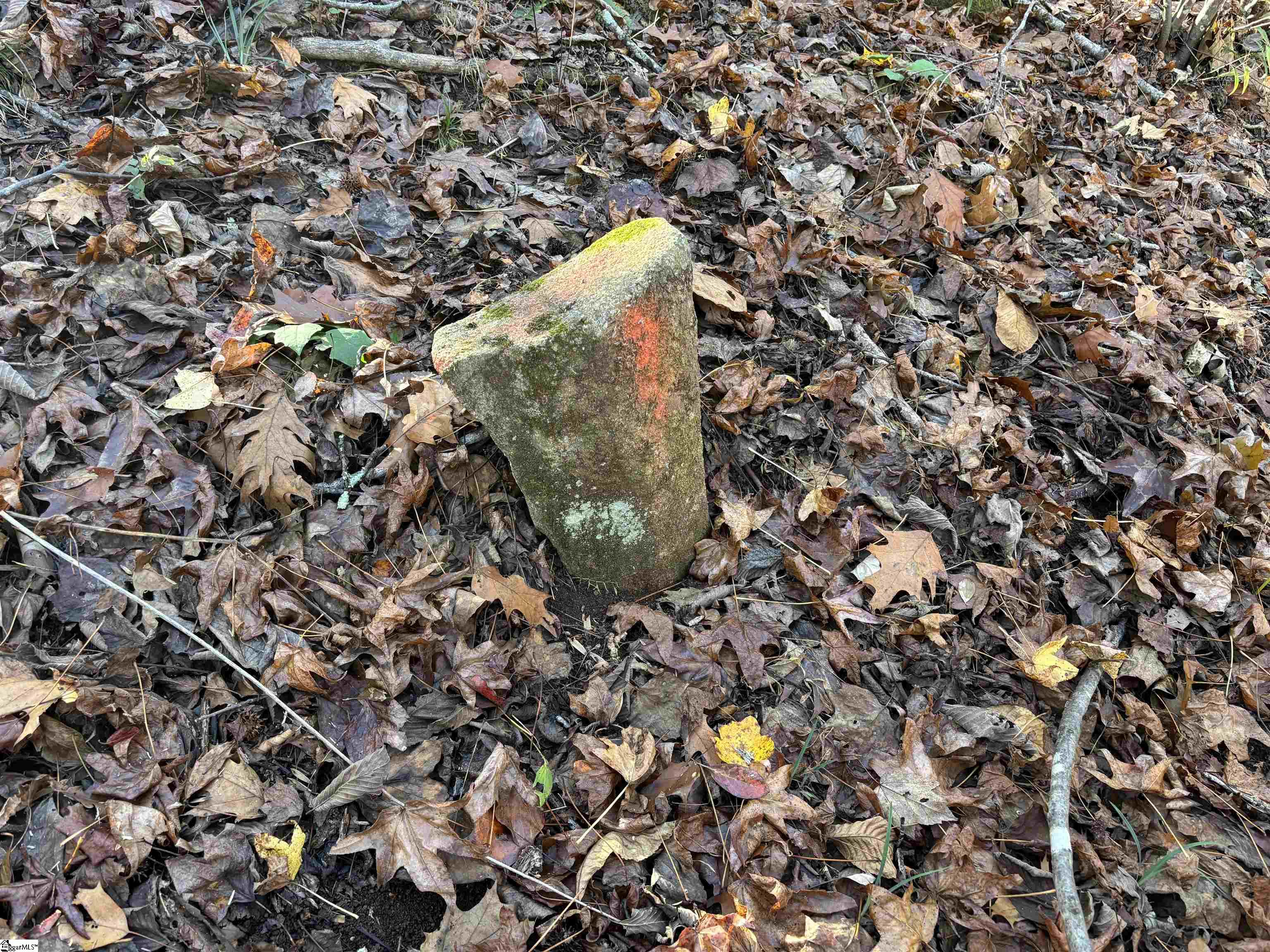 Shady Grove Road Sunset, SC 29685 - Photo 24 of 29