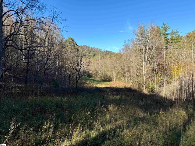 $795,000 | Shady Grove Road, Sunset, SC 29685