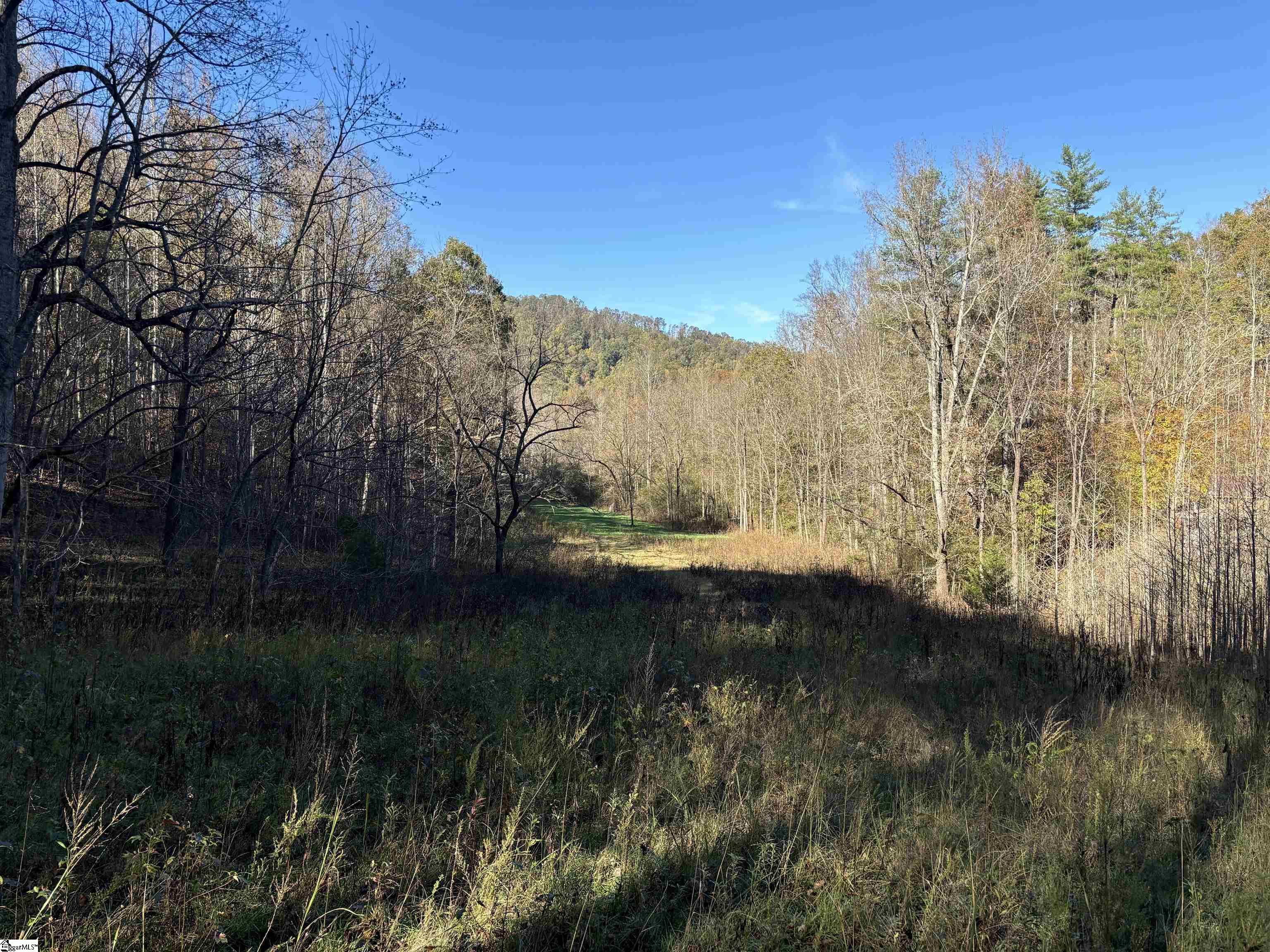 Shady Grove Road Sunset, SC 29685 - Photo 25 of 29