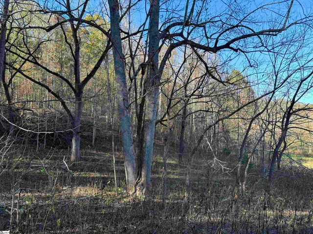 $795,000 | Shady Grove Road, Sunset, SC 29685