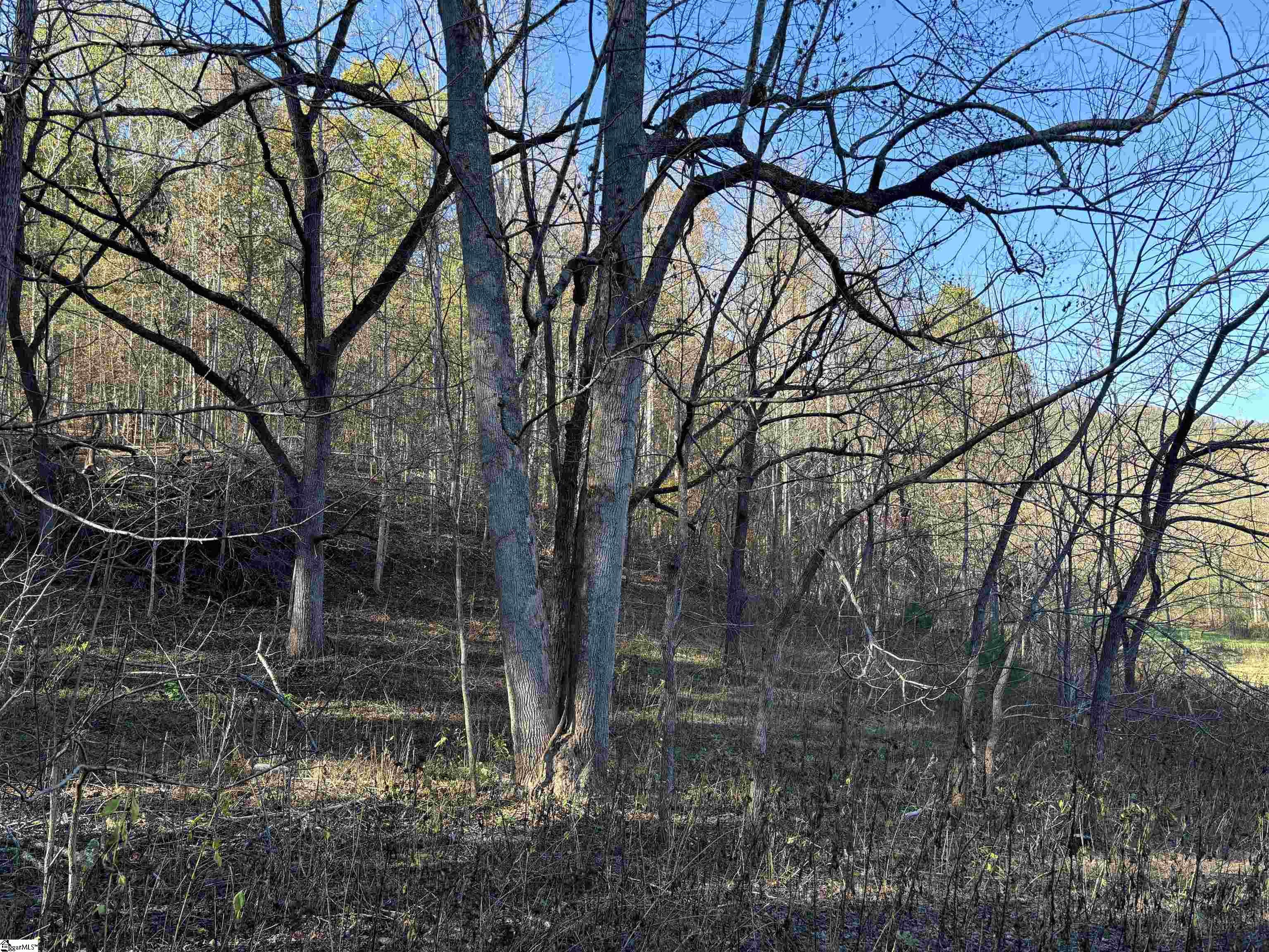 Shady Grove Road Sunset, SC 29685 - Photo 26 of 29