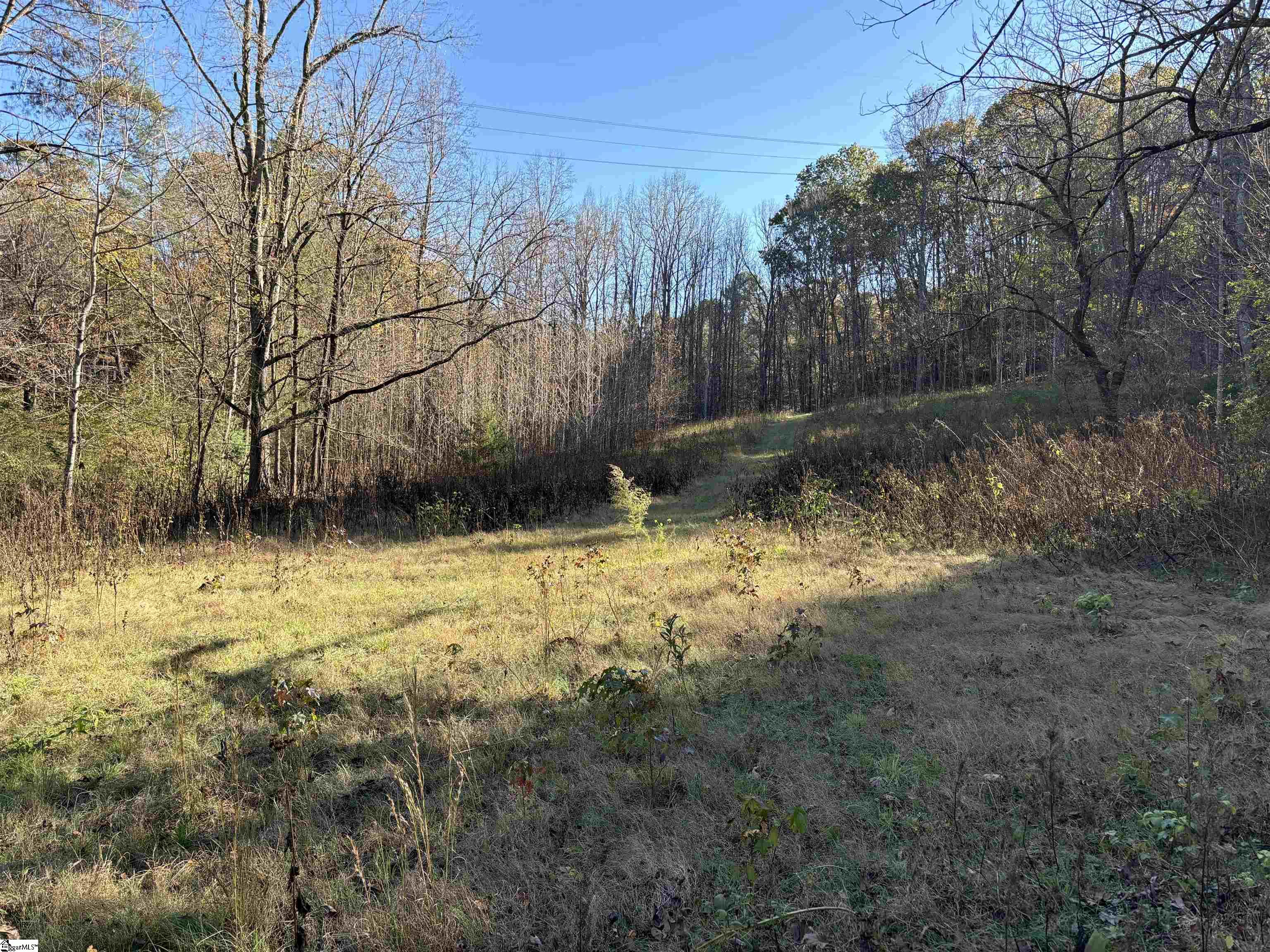 Shady Grove Road Sunset, SC 29685 - Photo 27 of 29