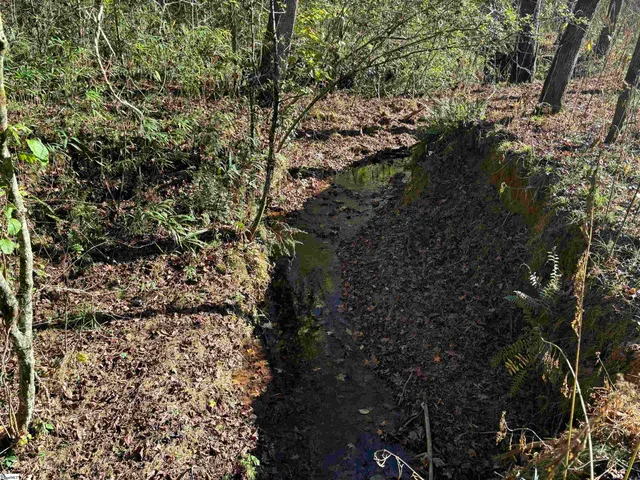 $795,000 | Shady Grove Road, Sunset, SC 29685