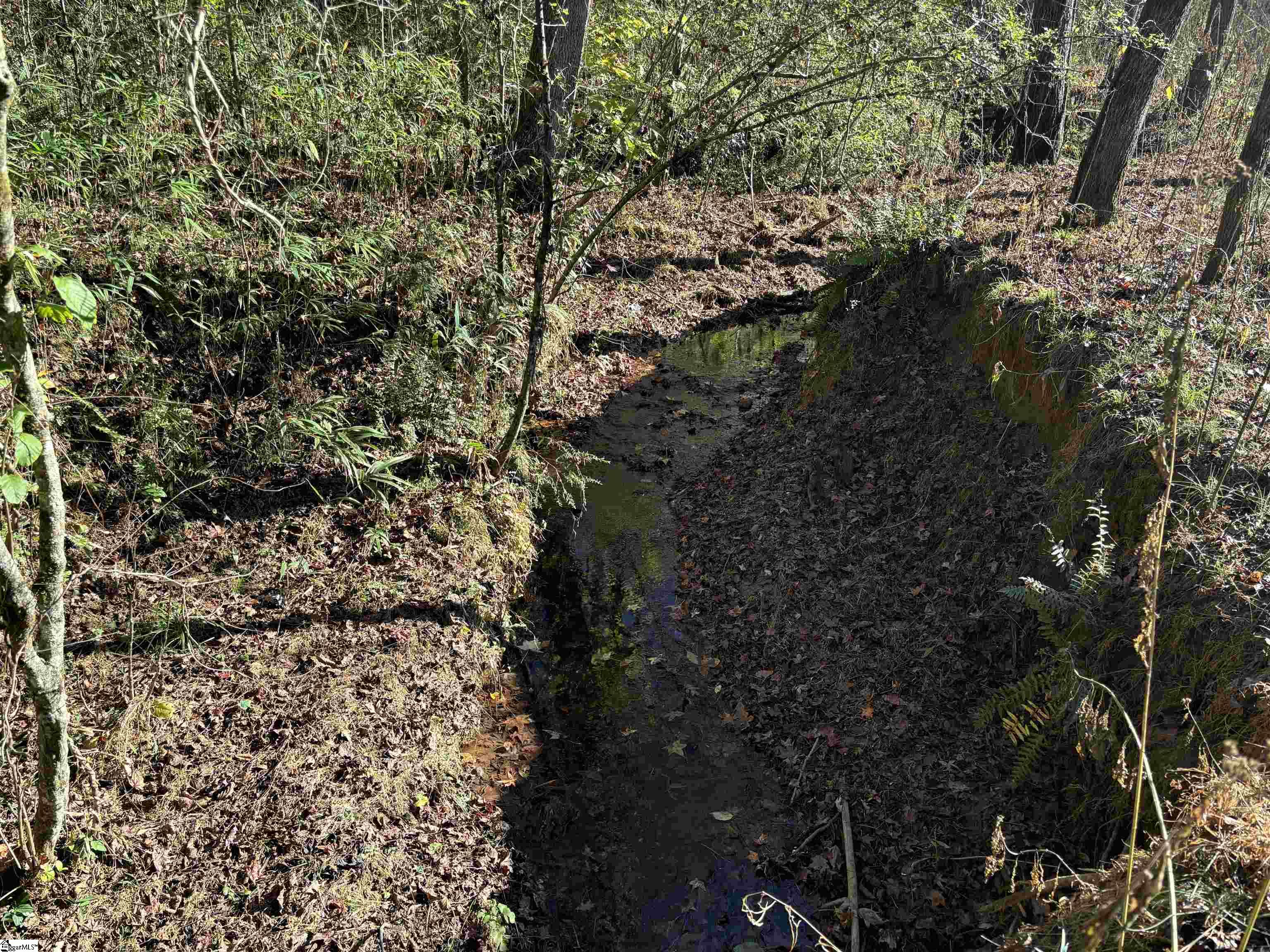 Shady Grove Road Sunset, SC 29685 - Photo 28 of 29