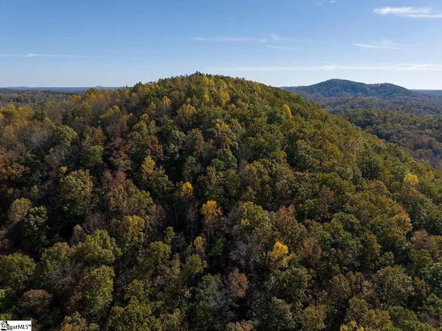 $795,000 | Shady Grove Road, Sunset, SC 29685