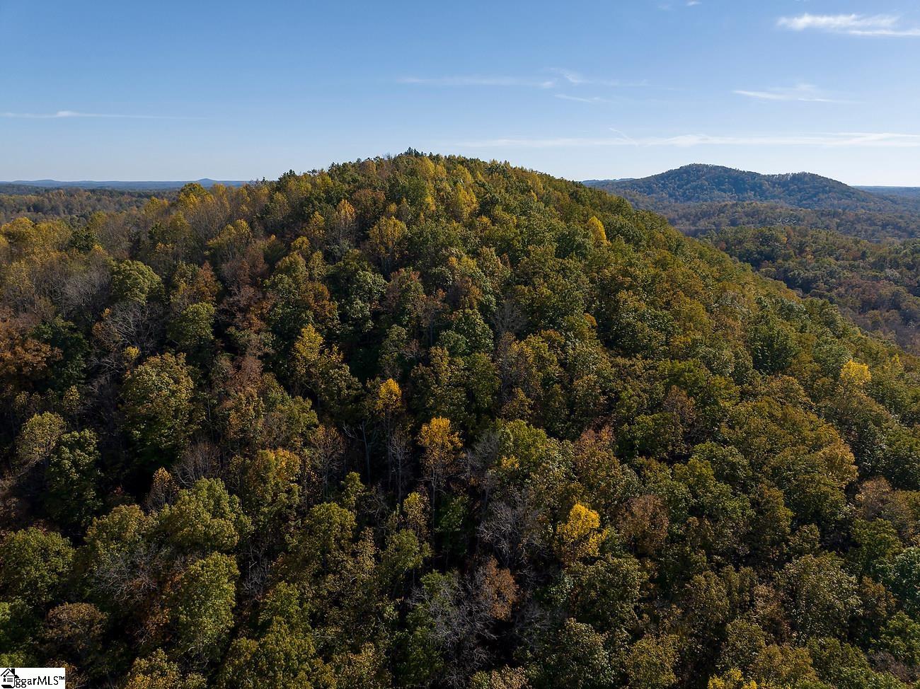 Shady Grove Road Sunset, SC 29685 - Photo 3 of 29
