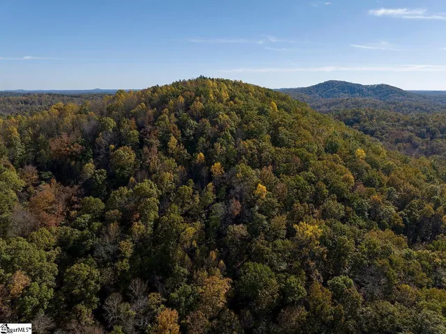 $795,000 | Shady Grove Road, Sunset, SC 29685