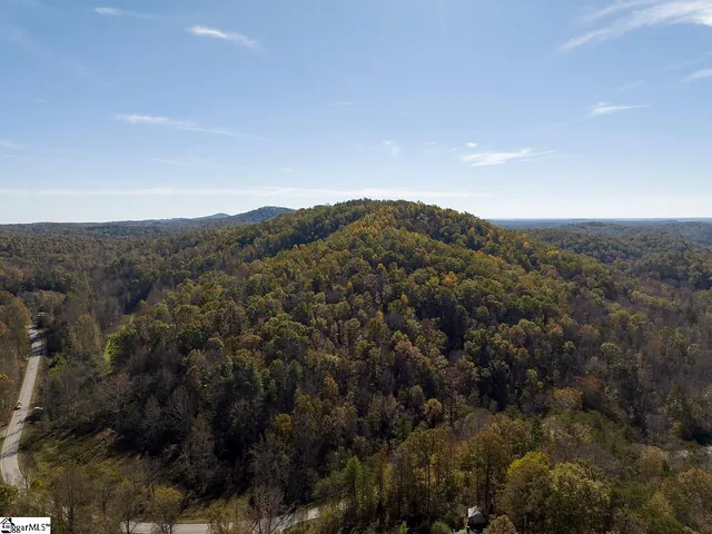 $795,000 | Shady Grove Road, Sunset, SC 29685