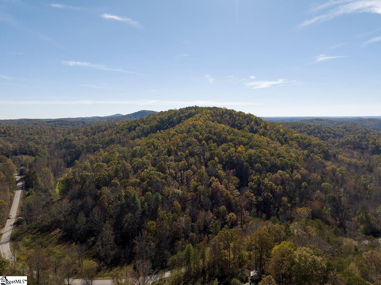 Shady Grove Road Sunset, SC 29685 - Photo 5 of 29