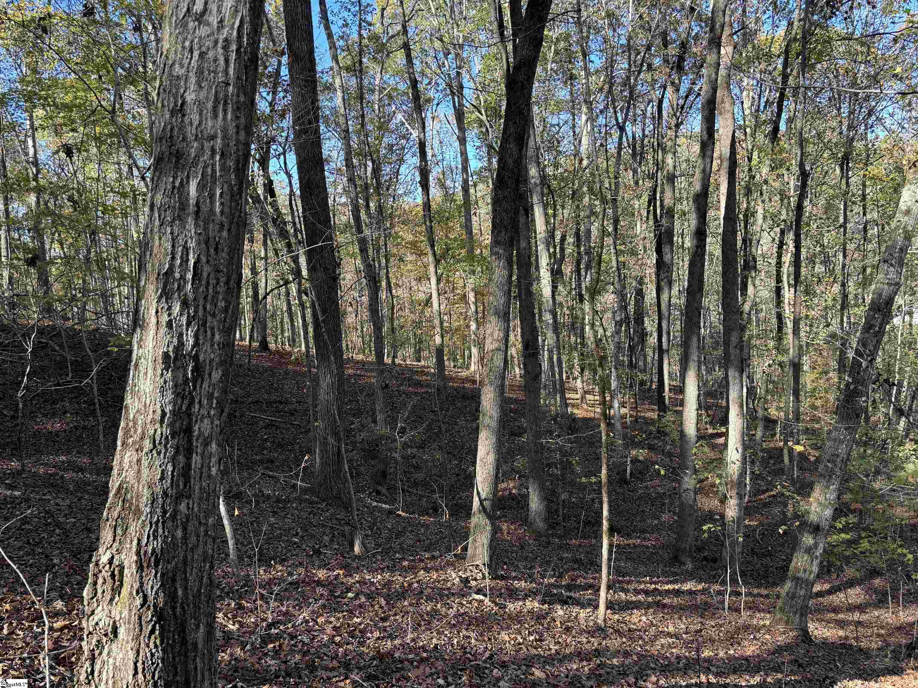 Shady Grove Road Sunset, SC 29685 - Photo 7 of 29
