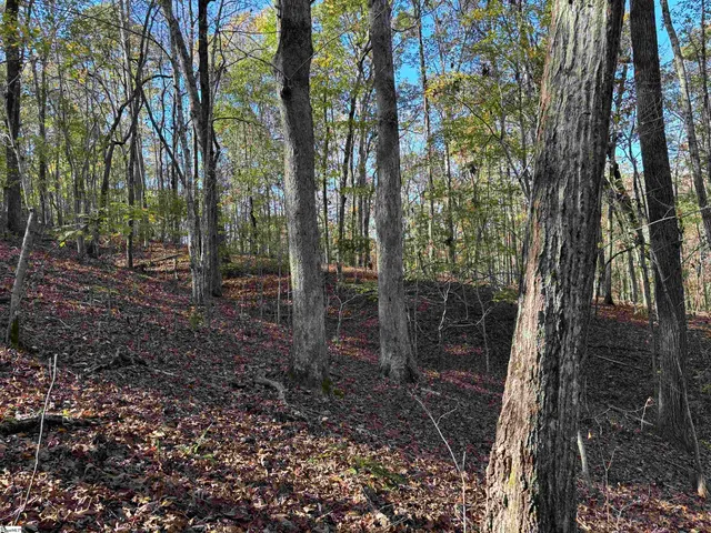 $795,000 | Shady Grove Road, Sunset, SC 29685