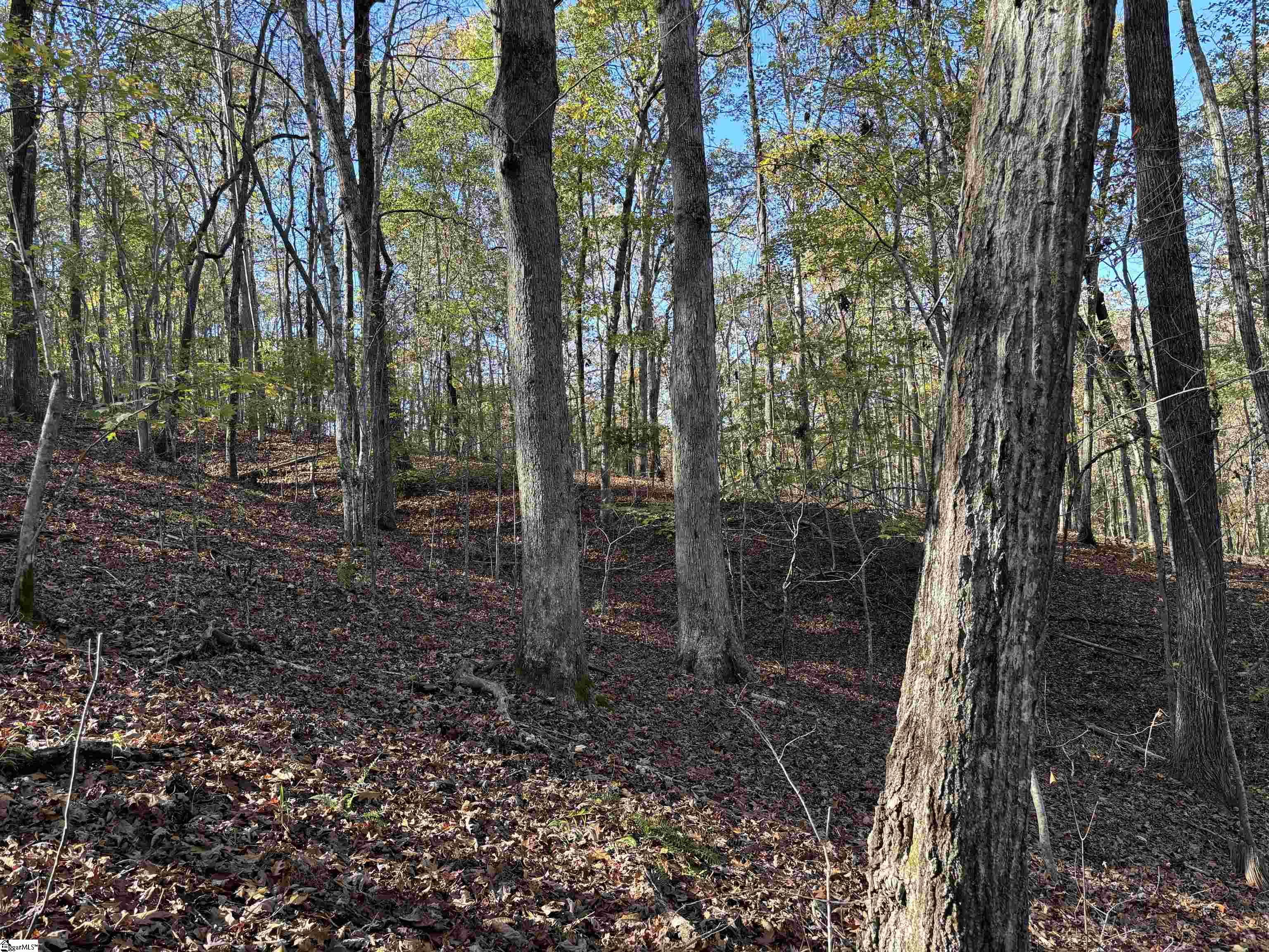 Shady Grove Road Sunset, SC 29685 - Photo 8 of 29