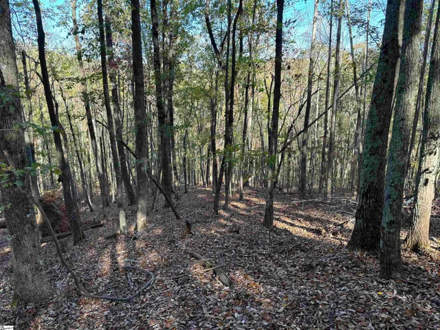 $795,000 | Shady Grove Road, Sunset, SC 29685