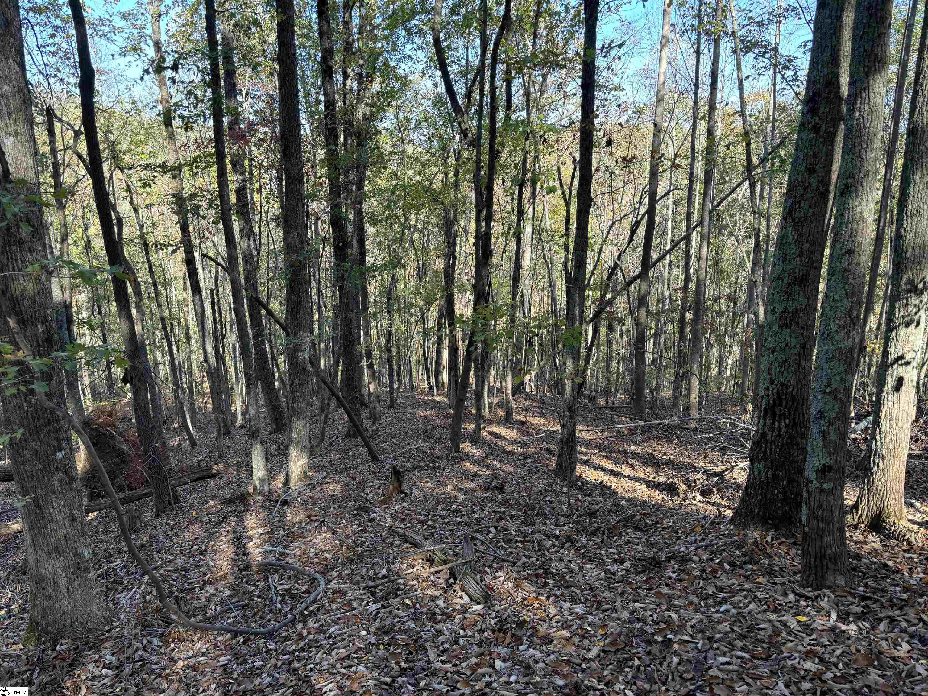 Shady Grove Road Sunset, SC 29685 - Photo 9 of 29
