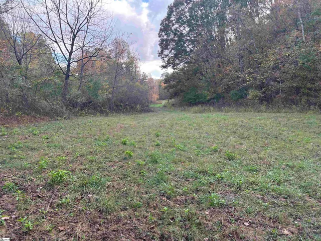 $795,000 | Shady Grove Road, Sunset, SC 29685