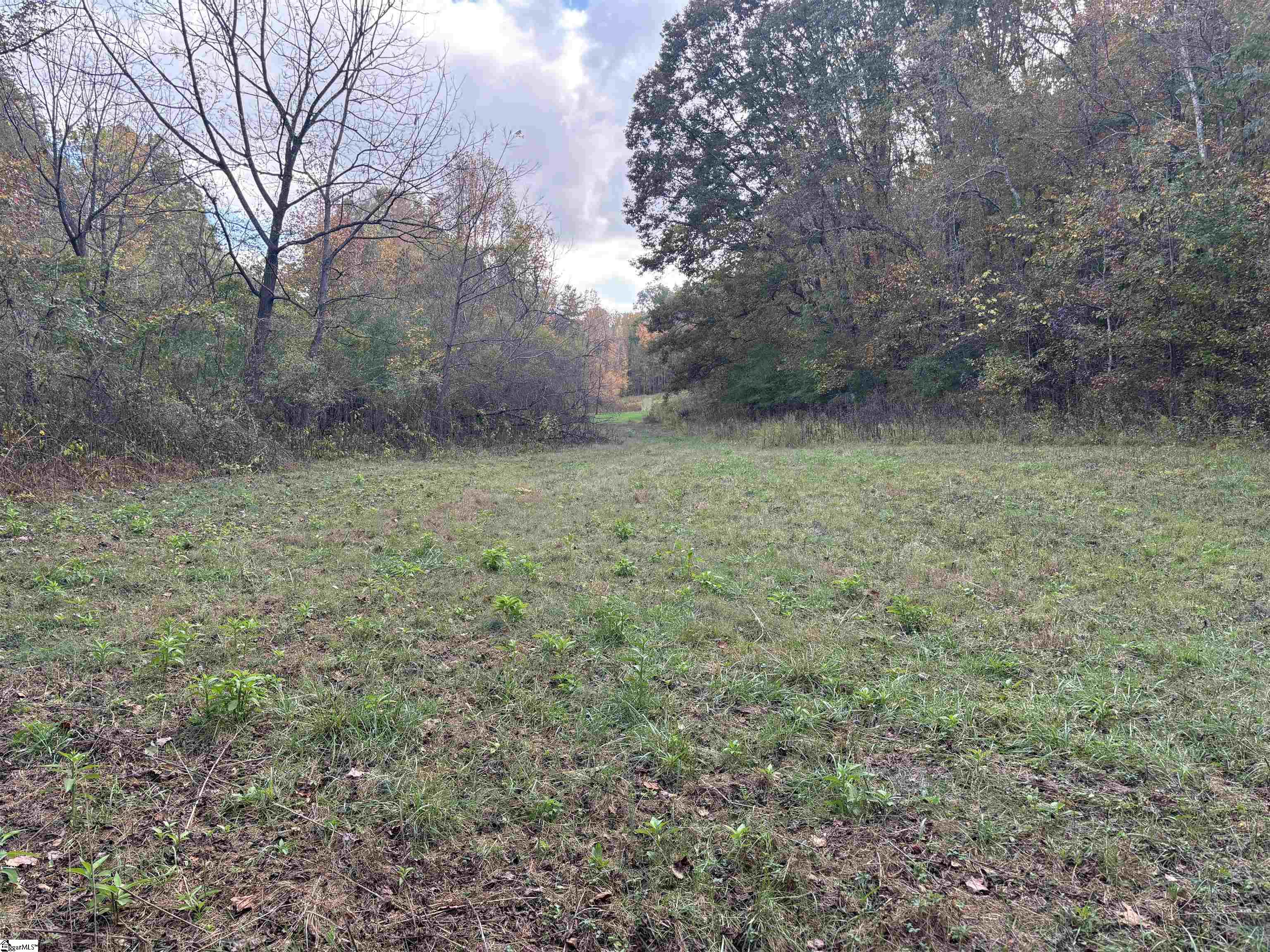 Shady Grove Road Sunset, SC 29685 - Photo 10 of 29