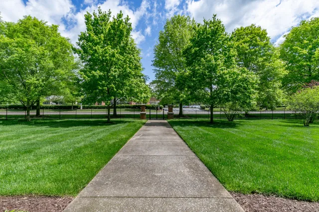 a view of park with trees