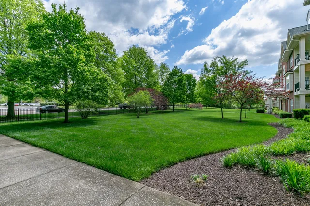 a view of a park with a house in the background