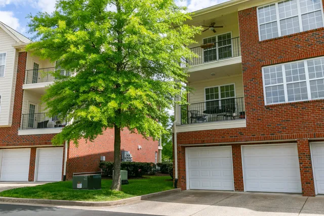 a house that has a tree in front of the house