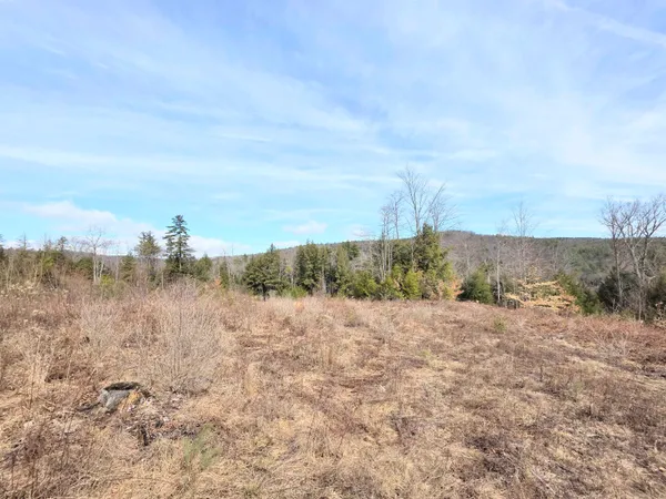 $260,000 | 0 Nh Route 103, Warner, NH 03278