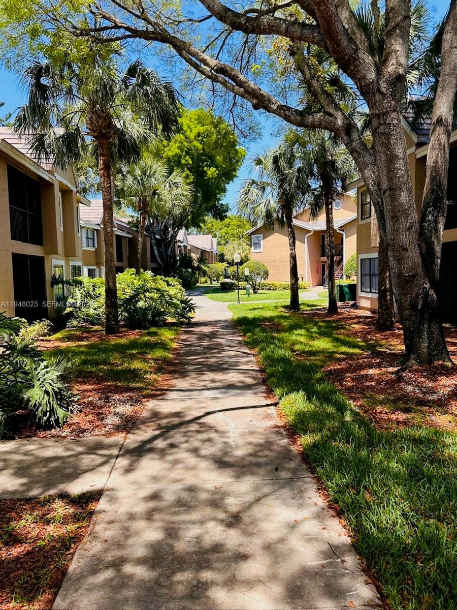 15680 Southwest 106th Lane, Unit 804 Miami, FL 33196 - Photo 26 of 32 a view of a yard with plants and trees
