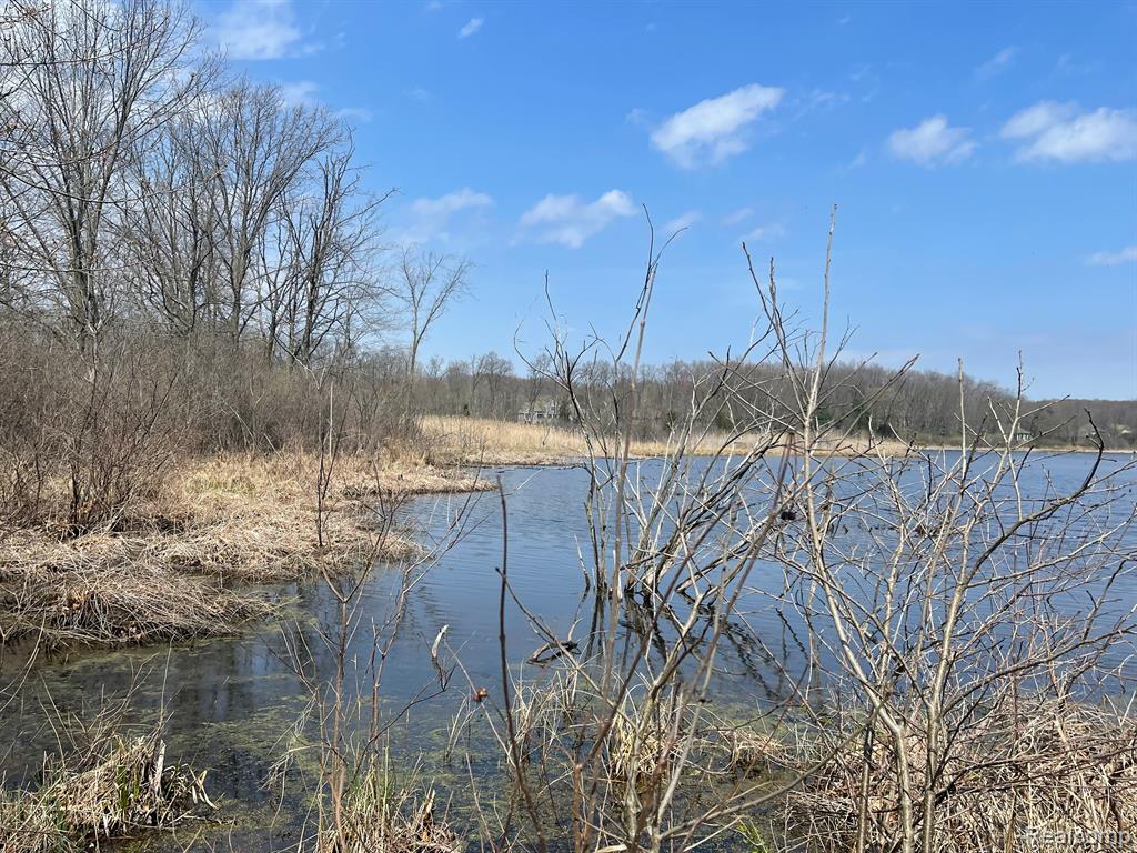 0 White Lake Road Flint, MI 48505 - Photo 9 of 12
