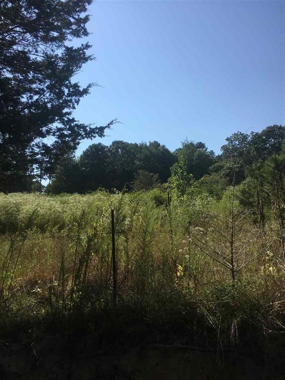 10-acres Bettis Road Georgetown, TN 37336 - Photo 1 of 1 bettis 10 acres