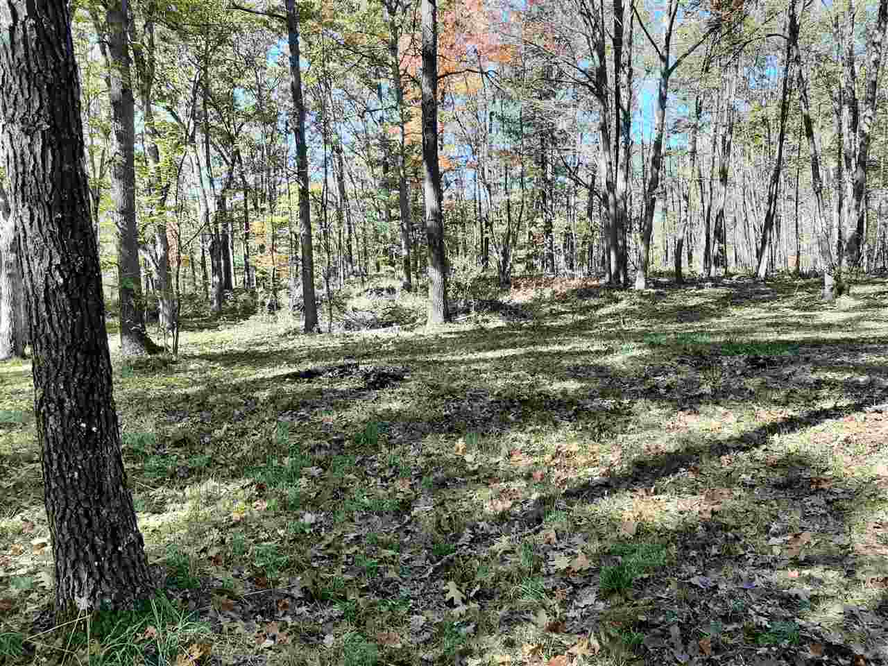 2355 Birch Road Harrison, MI 48625 - Photo 32 of 50 Gallery Image 32