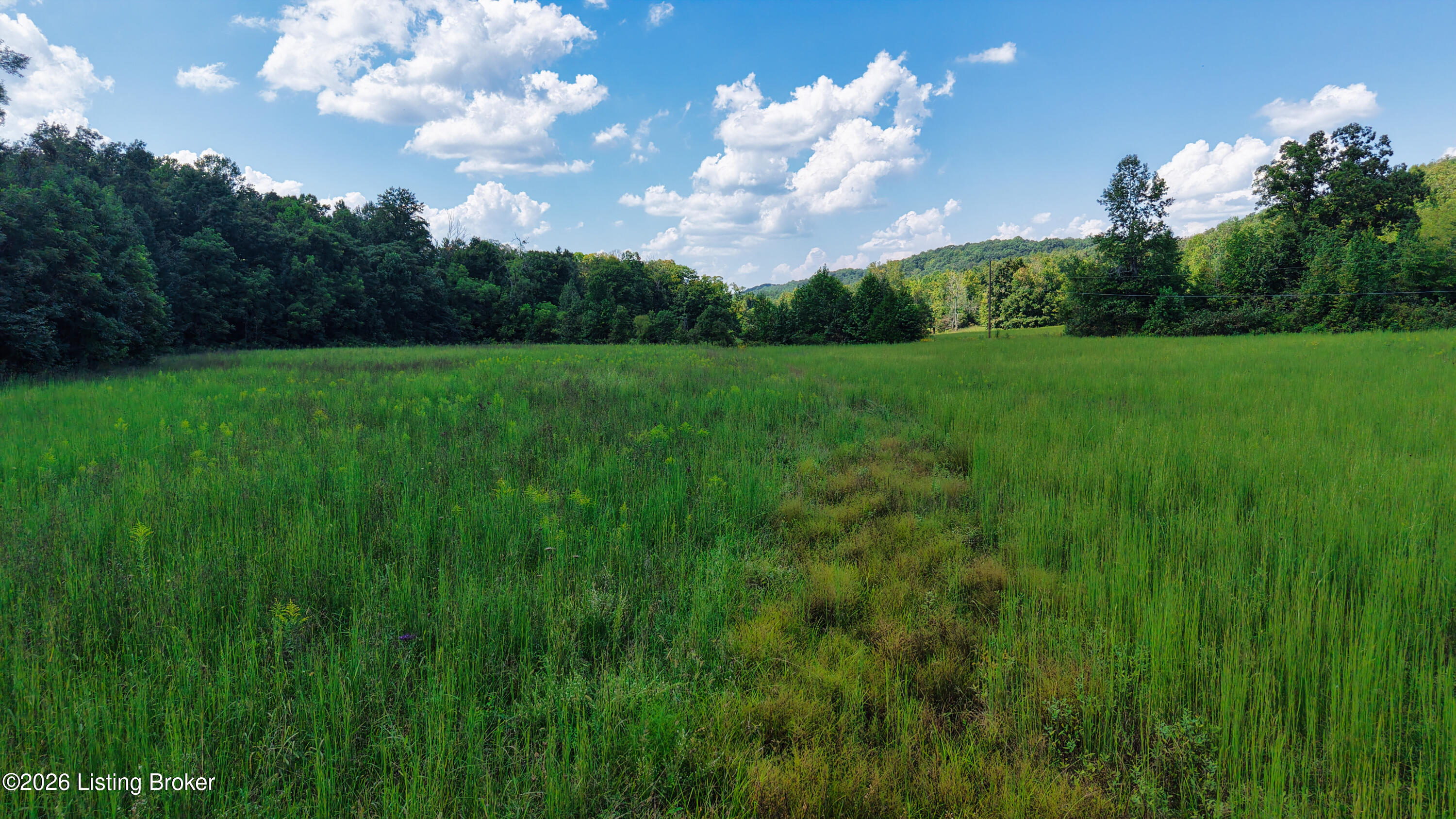 1 Dry Creek Road Columbia, KY 42728 - Photo 3 of 17 DJI_20260903133755_0014_D