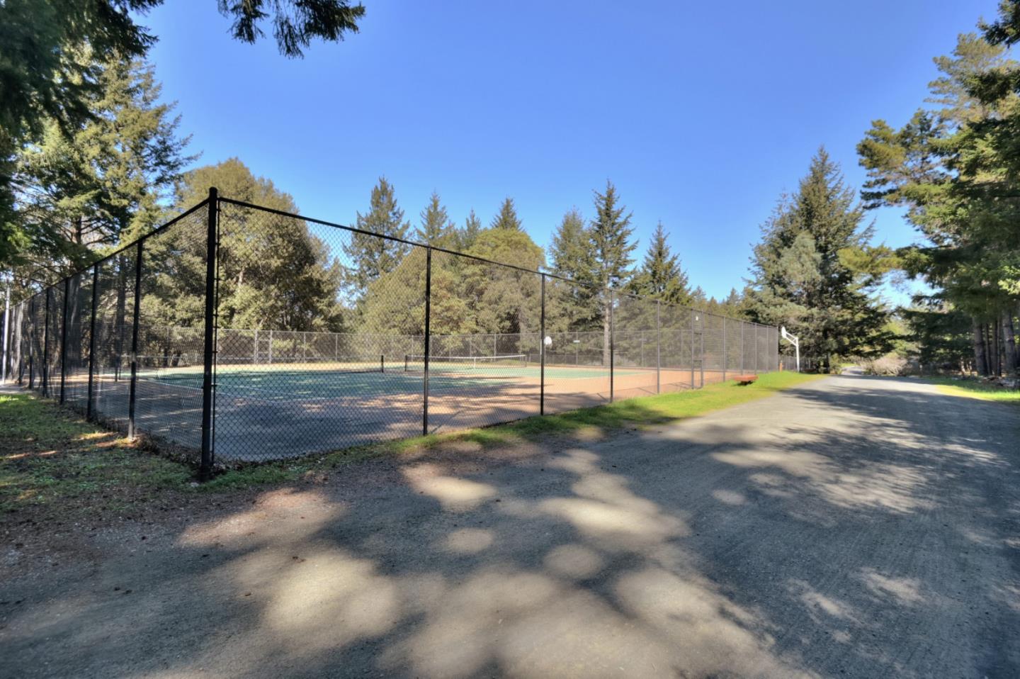 18503 Favre Ridge Road Los Gatos, CA 95033 - Photo 39 of 40 a view of a yard with a tree