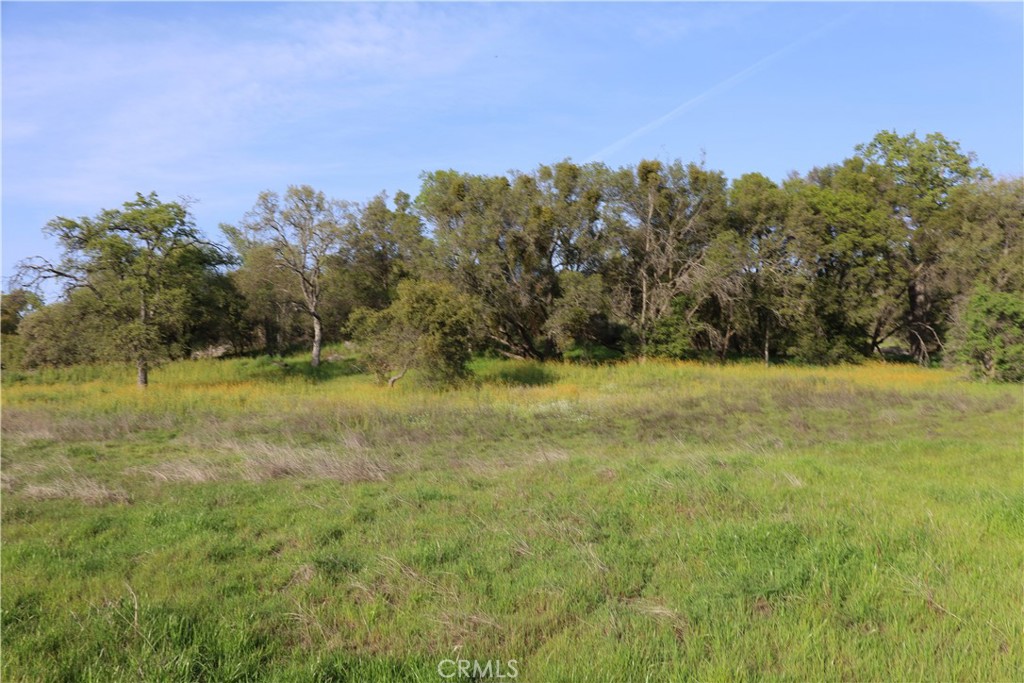 0 Douglas Road Coarsegold, CA 93614 - Photo 4 of 32