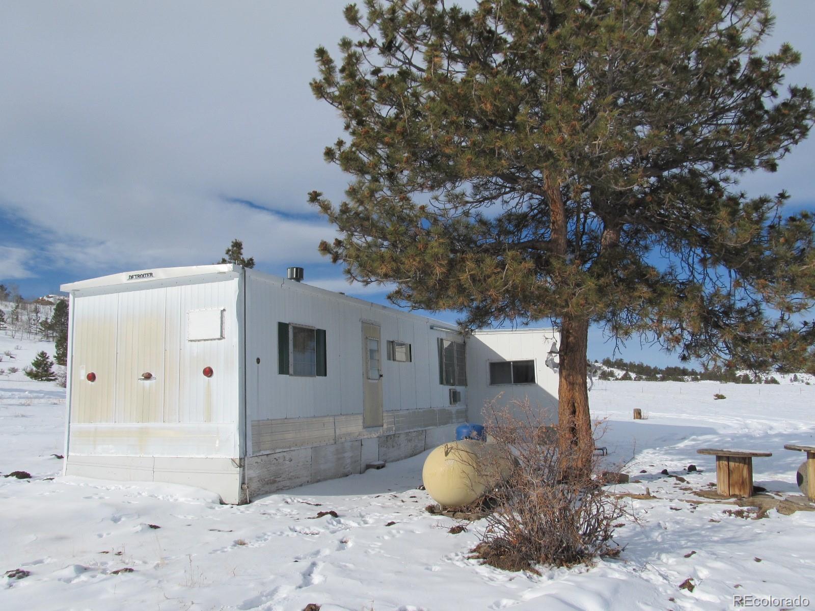 Vireo Way Hartsel, CO 80449 - Photo 2 of 12
