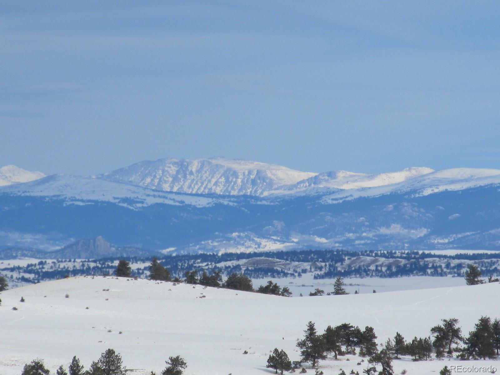Vireo Way Hartsel, CO 80449 - Photo 3 of 12