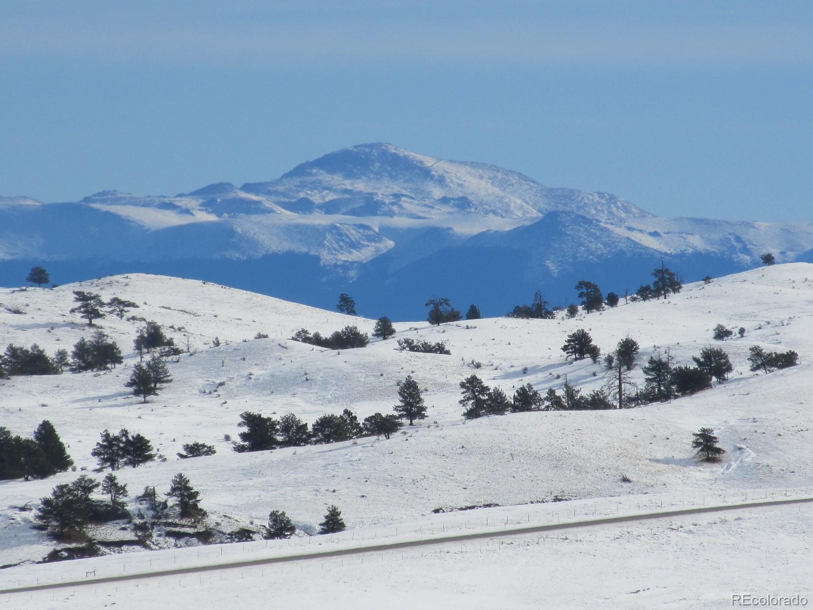 Vireo Way Hartsel, CO 80449 - Photo 4 of 12
