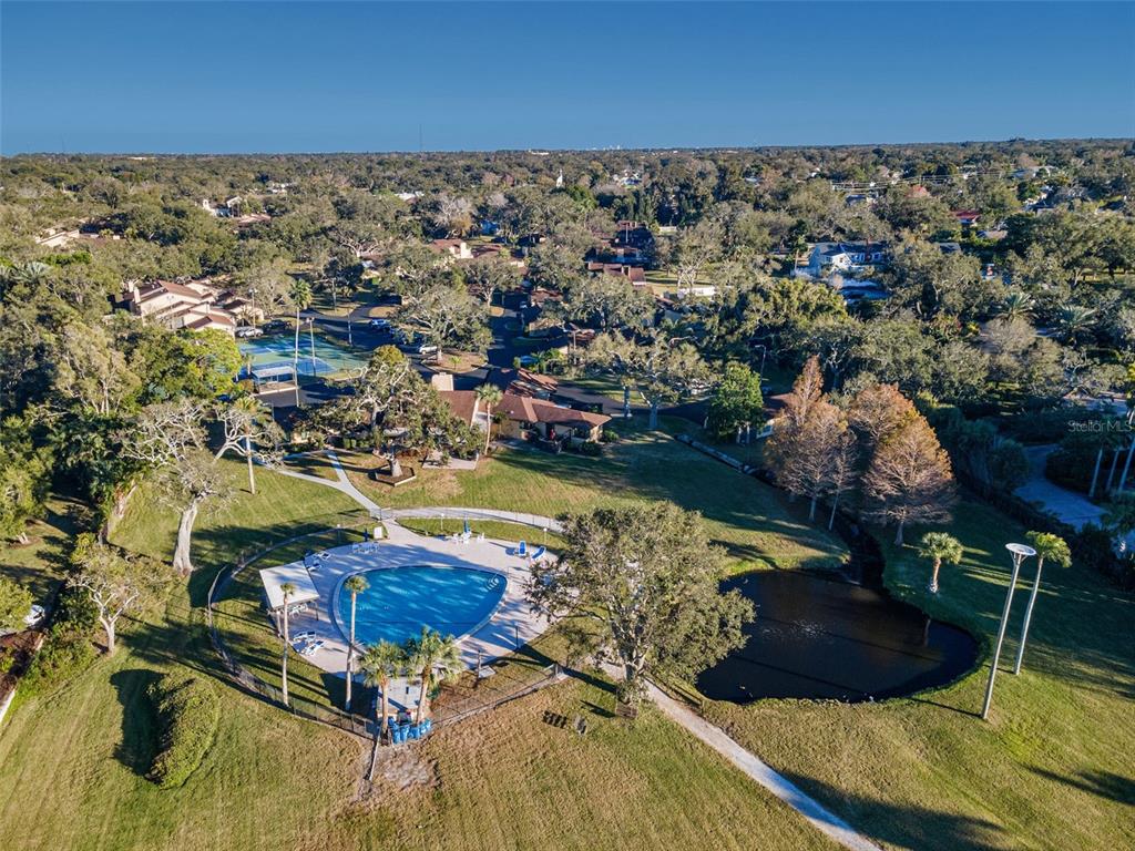 13300 Indian Rocks Road, Unit 101 Largo, FL 33774 - Photo 82 of 100 Gallery Image 82