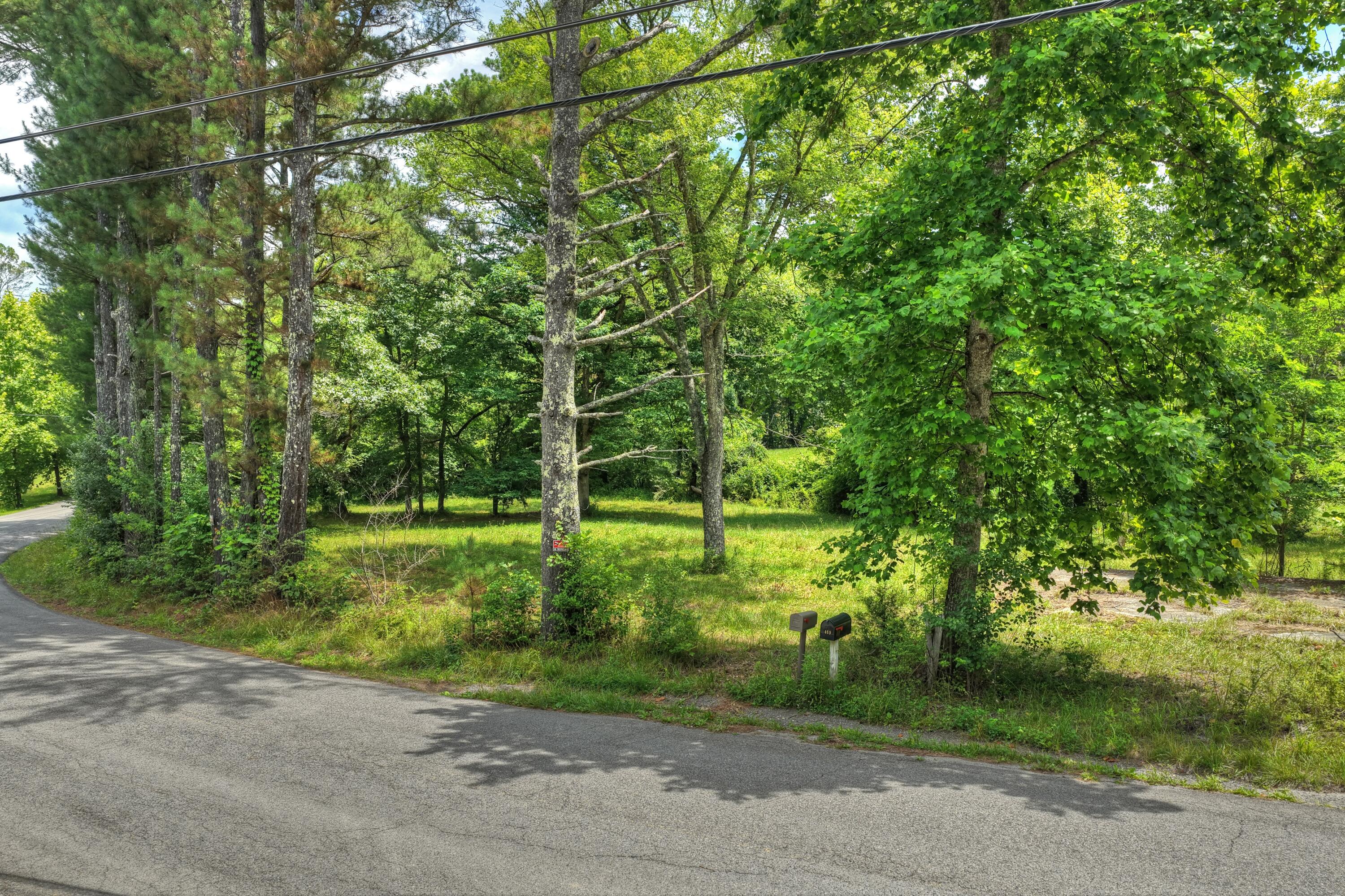 526 Airport Road Copperhill, TN 37317 - Photo 3 of 28 Airport Rd Byrd Property (2)