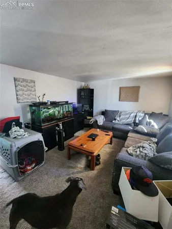 a living room with furniture a rug and a fireplace