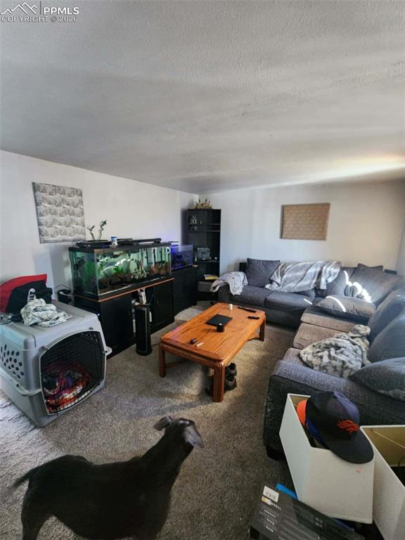 24405 Handle Road Calhan, CO 80808 - Photo 18 of 30 a living room with furniture a rug and a fireplace
