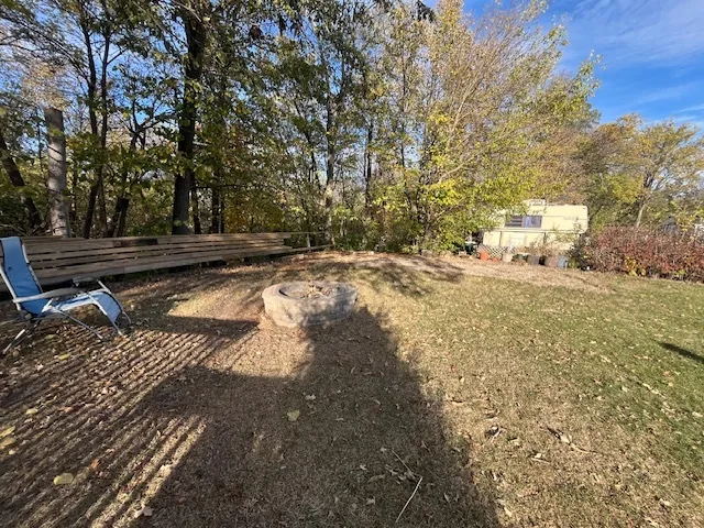 a view of a yard with plants and trees