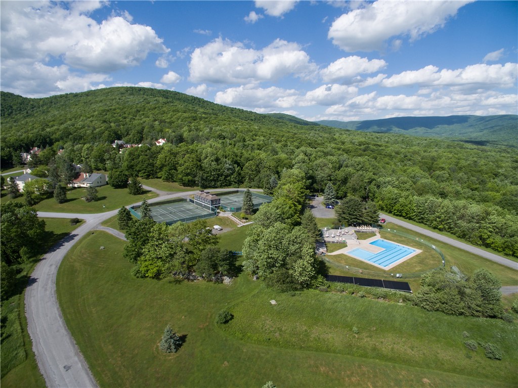 132 Pines Drive, Unit 67 Roxbury, NY 12421 - Photo 33 of 39