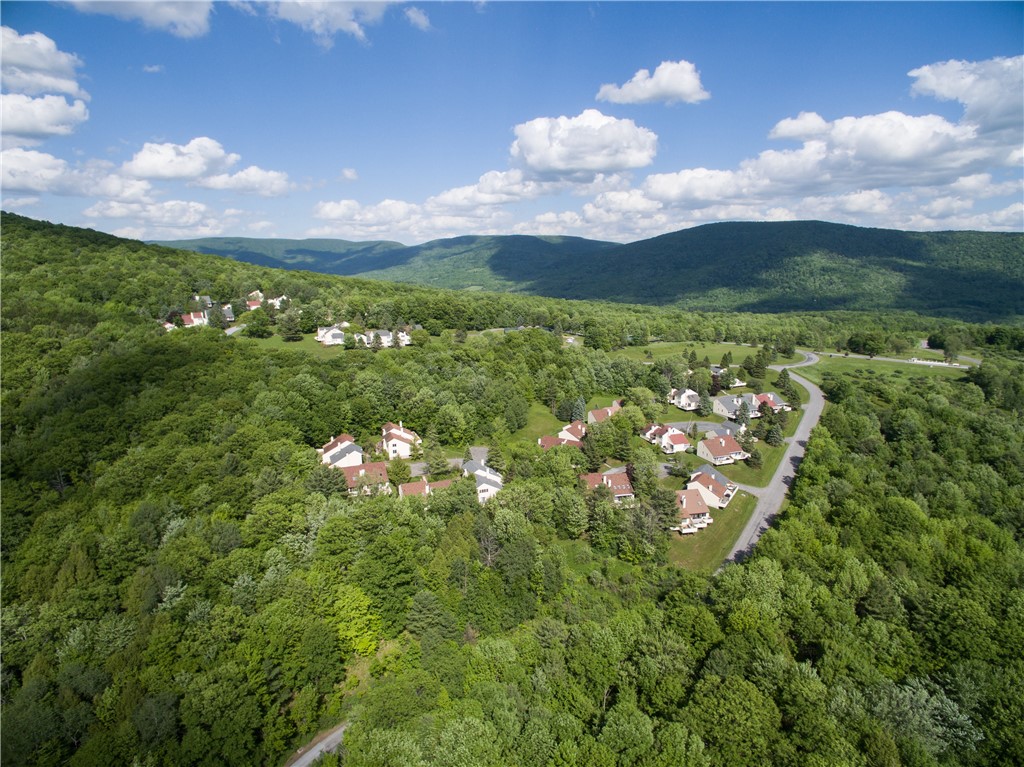 132 Pines Drive, Unit 67 Roxbury, NY 12421 - Photo 34 of 39