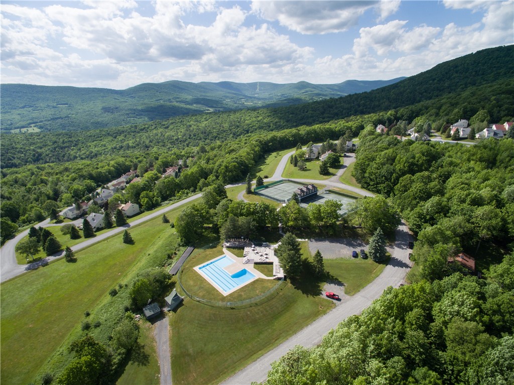 132 Pines Drive, Unit 67 Roxbury, NY 12421 - Photo 35 of 39