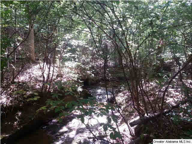 455 County Road, Unit 53 Woodland, AL 36280 - Photo 18 of 21
