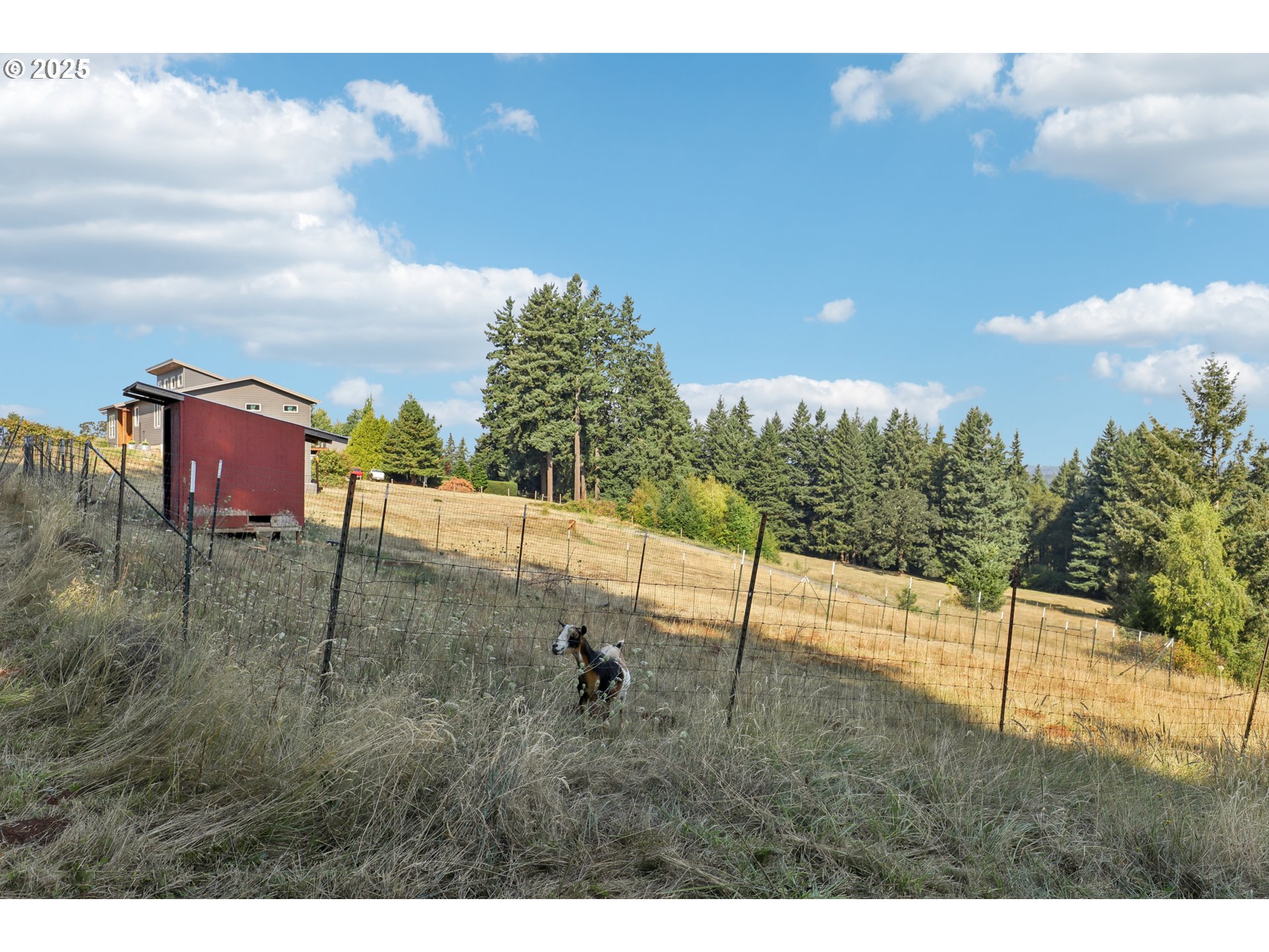13005 South Casto Road Oregon City, OR 97045 - Photo 38 of 43 a view of a outdoor space