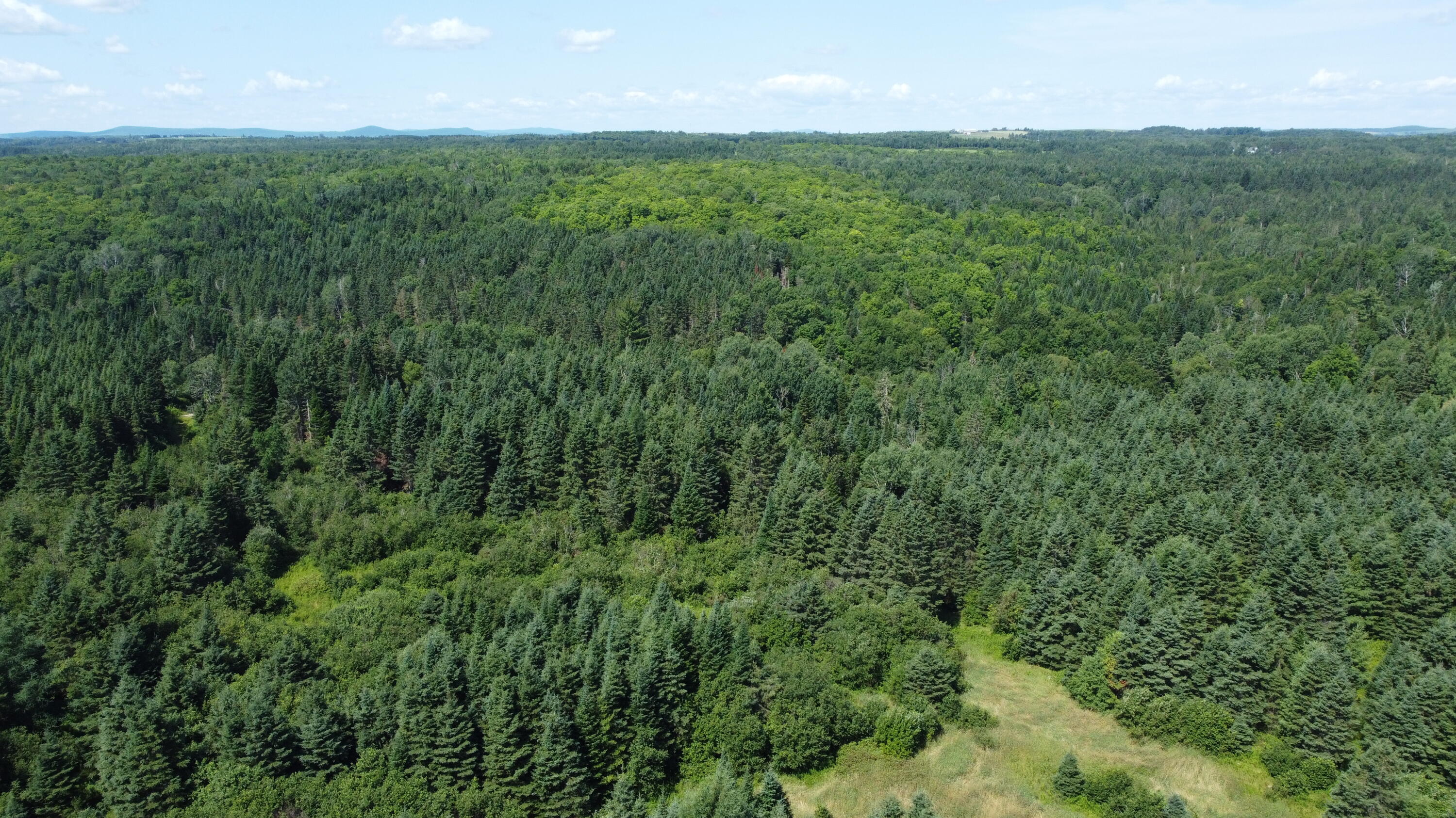 512 Graham Road Easton, ME 04740 - Photo 12 of 22 DJI_0118