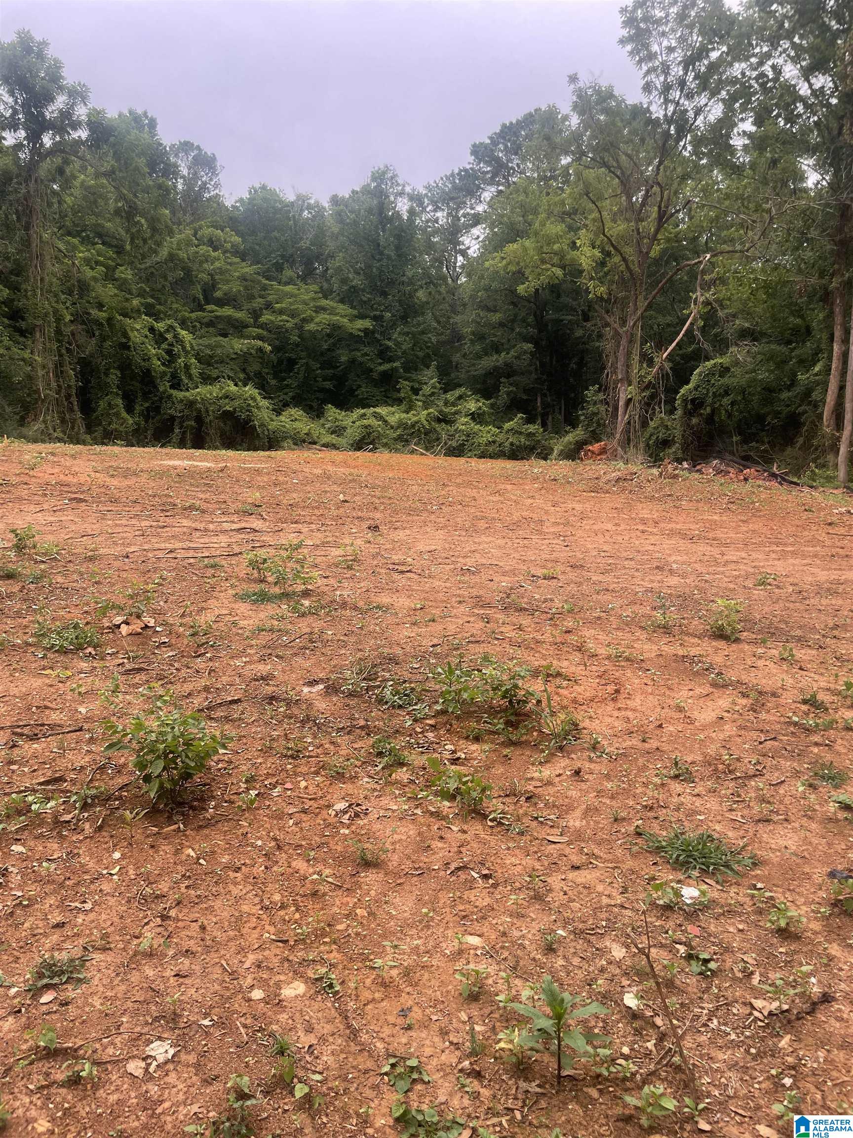 1444 Main Street, Unit CLEARED Roanoke, AL 36274 - Photo 4 of 5