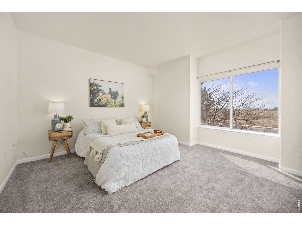 8690 Decatur Street, Unit 205 Westminster, CO 80031 - Photo 13 of 35